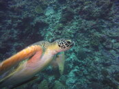 GOPR0467.JPG