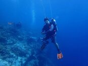 FAT AVAI DIVING.jpg