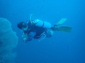 JIM FAT MAN DIVING.jpg