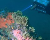 20190824-1.jpg