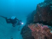 20190824-7.jpg