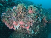 20190824-9.jpg