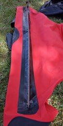 IMG_20190829_155916.jpg