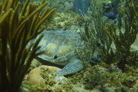 DSC00389JPG.jpg