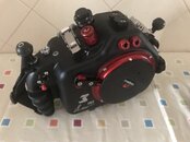 IMG_7497.jpeg