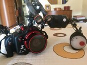 IMG_7505.jpeg
