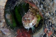 IMG_9047wa.jpg