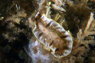 IMG_9062wa.jpg