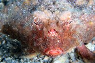 IMG_9008wa.jpg