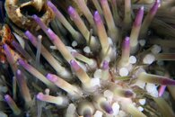 IMG_8950wa.jpg