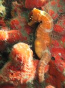 IMG_1725.jpg