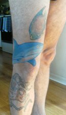 reef shark tattoo.jpg