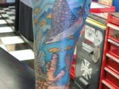 Eagle Ray Tattoo 007.jpg