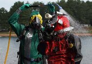0829dive011_t607.jpg