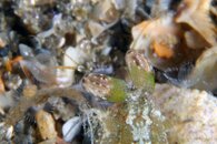 IMG_9276wa.jpg