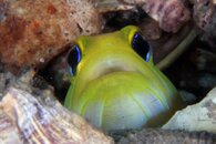 IMG_9460wa.jpg