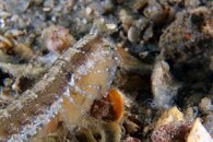 IMG_9300wa.jpg