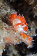 IMG_9443wa.jpg