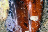 IMG_9145wclaustrophobic.jpg