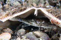 IMG_9158wa.jpg