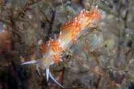 IMG_9160wa.jpg