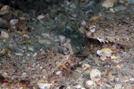 IMG_8663wa.jpg