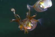 IMG_3814wa.jpg