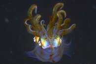 IMG_3839wa.jpg