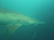 IMG_1089small.jpg