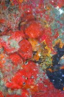 IMG_4042wa2.jpg