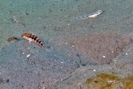 IMG_3849wa2.jpg
