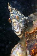 IMG_5388wa.jpg