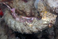 IMG_4192wa.jpg