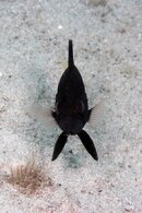 IMG_4225wa.jpg