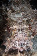 IMG_4324wa.jpg