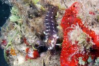IMG_4210wa.jpg