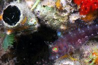 IMG_4186wa.jpg