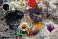 IMG_4187wa.jpg