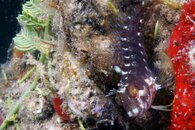 IMG_4207wa.jpg