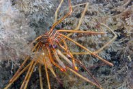 IMG_4454wa.jpg