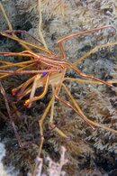 IMG_4456wa.jpg