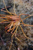 IMG_4457wa.jpg