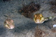 IMG_4405wa.jpg