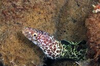 IMG_4363wa.jpg
