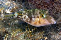 IMG_4468wa.jpg