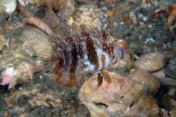 IMG_4472wa.jpg