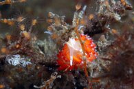 IMG_4475wa.jpg