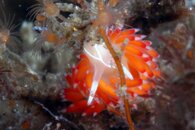 IMG_4476wa.jpg