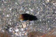 IMG_4705wa.jpg