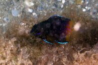 IMG_4703wa.jpg